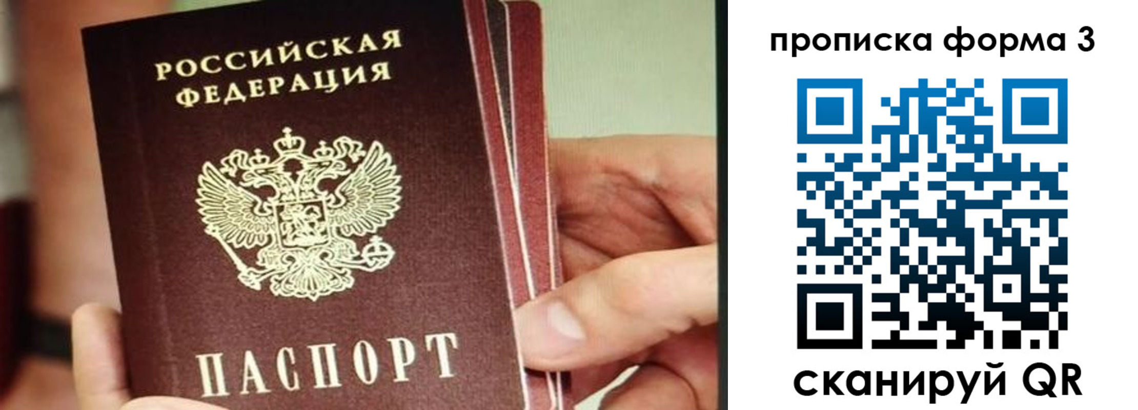прописка законно в Медногорске